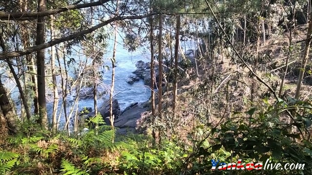 Indian Girl Anal, Blowjob, and Creampie with Sex Toys