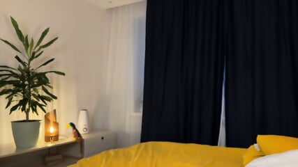 GC_2026.02.24