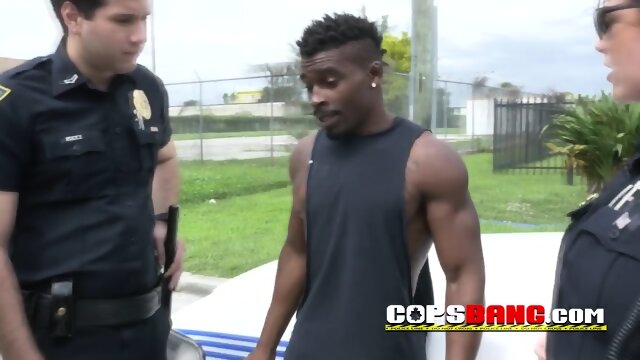 Slutty MILFs with big boobs are looking for black criminals to bang with!