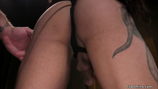 Busty tied shemale gets blowjob