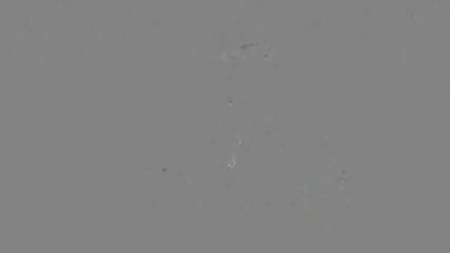 Bears having BB fun 3