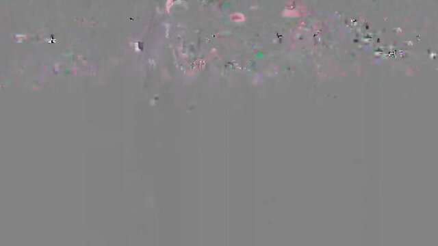 japanese fuck (2 16  )