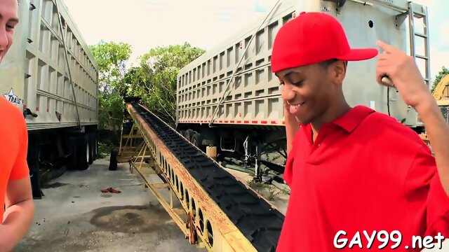 Hot white & black gay sex