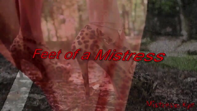 Femdom feet and shoes compilation