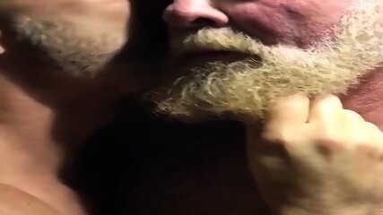 Hairy Bear Daddy Porn