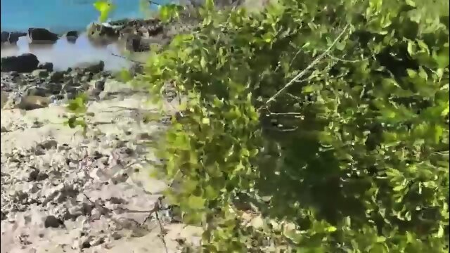 Beach encounter with BBC, Hubby gets sloppy seconds