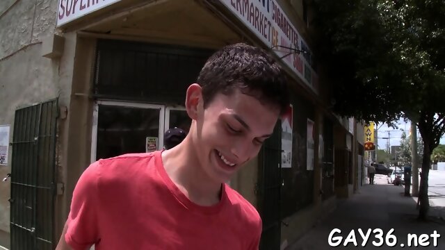 Two gays have nice sex