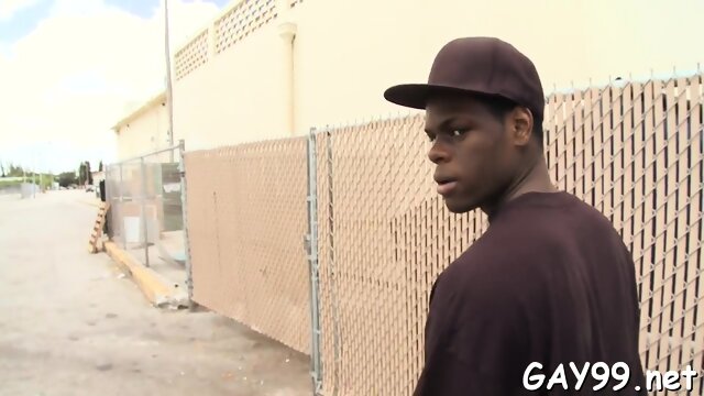 Black dick for white ass