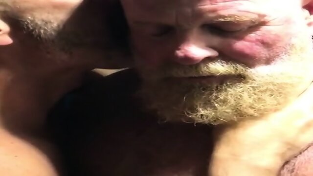 Hairy bears passionate kissing