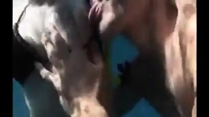 Water Sex Looks Fun