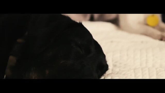 I Like Me Better | Romantic PMV | LOVEMAKINGPROCLIVITY