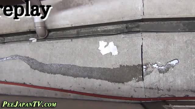 Japanese Pee Compilation - Screenshot 10 of 15 - Voyeur