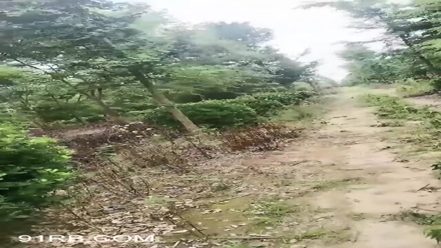 The aunt and the guy in glasses have an outdoor field battle