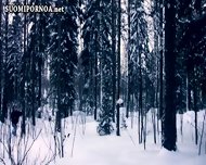 Seksivideo - Seksivideo Porn - Suomiporno Finnish Seksi & Aikuisviihde Suomiporno  Finnish Seksi Videos - EPORNER