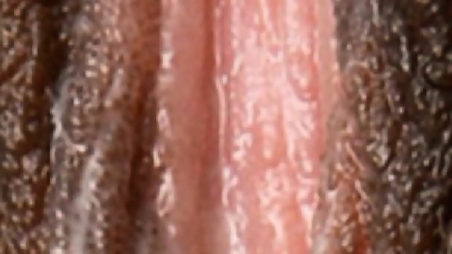 Female Textures Brownies Black Ebonny Hd 1080p Vagina Close Up