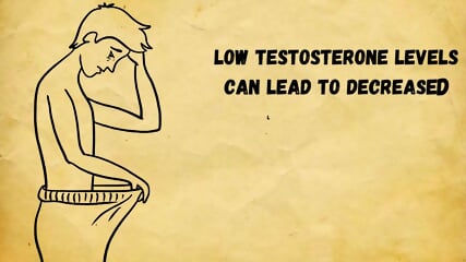 One Glass Daily Can Boost Testosterone 24% | Increase Testosterone Naturally | Testosterone Booster
