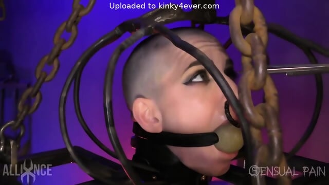 Shaved Naked Slave In Cage With Big Ball Gag