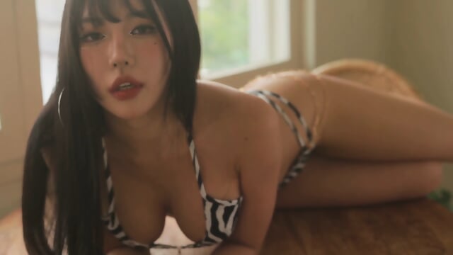 zebra don - Screenshot 3 of 15 - Uncategorized