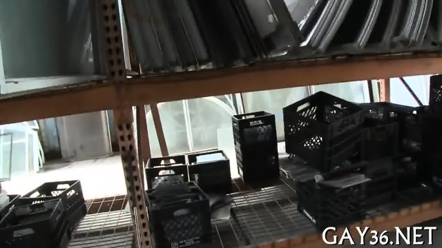 Two gay fellows fuck hard